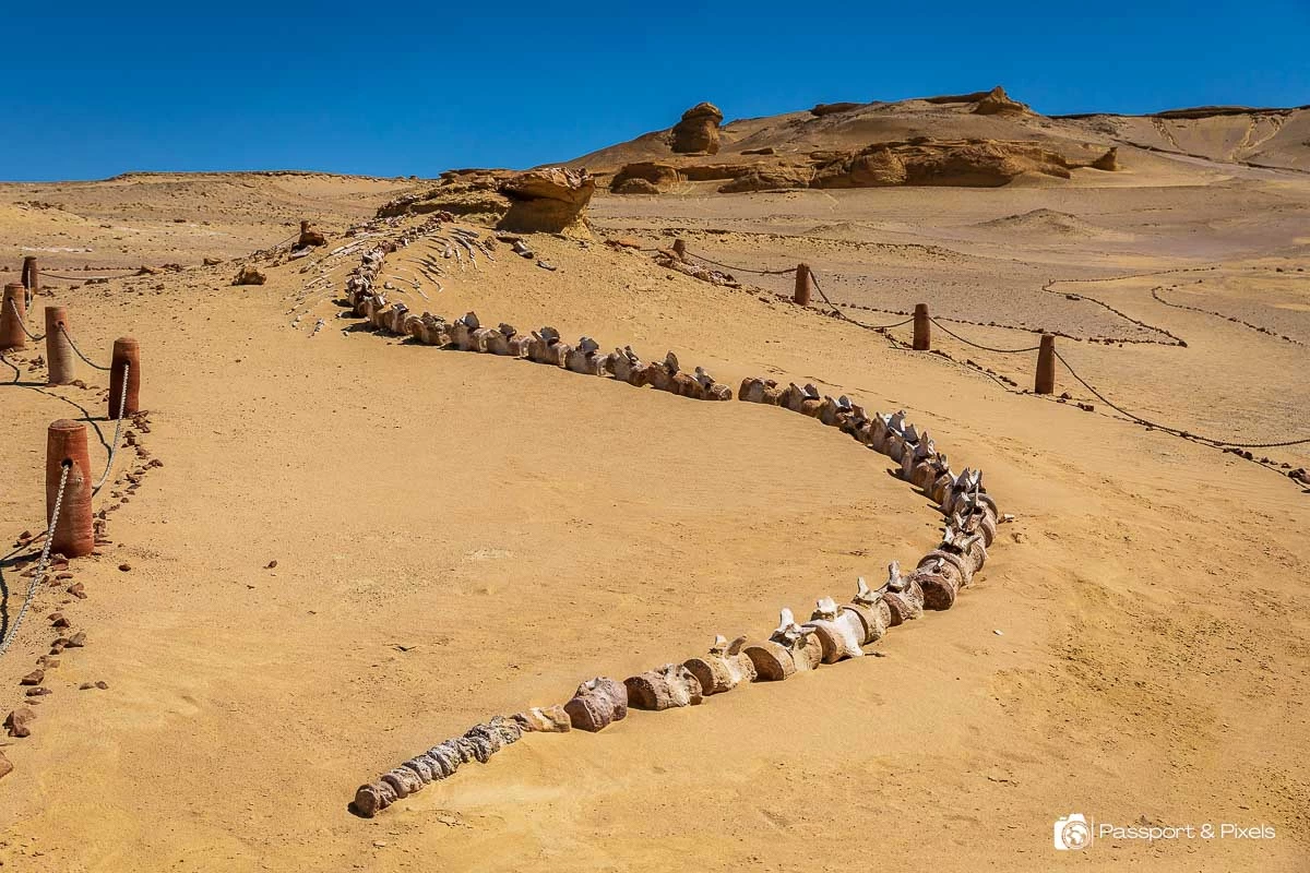 6-Day Egyptian Adventure Tour