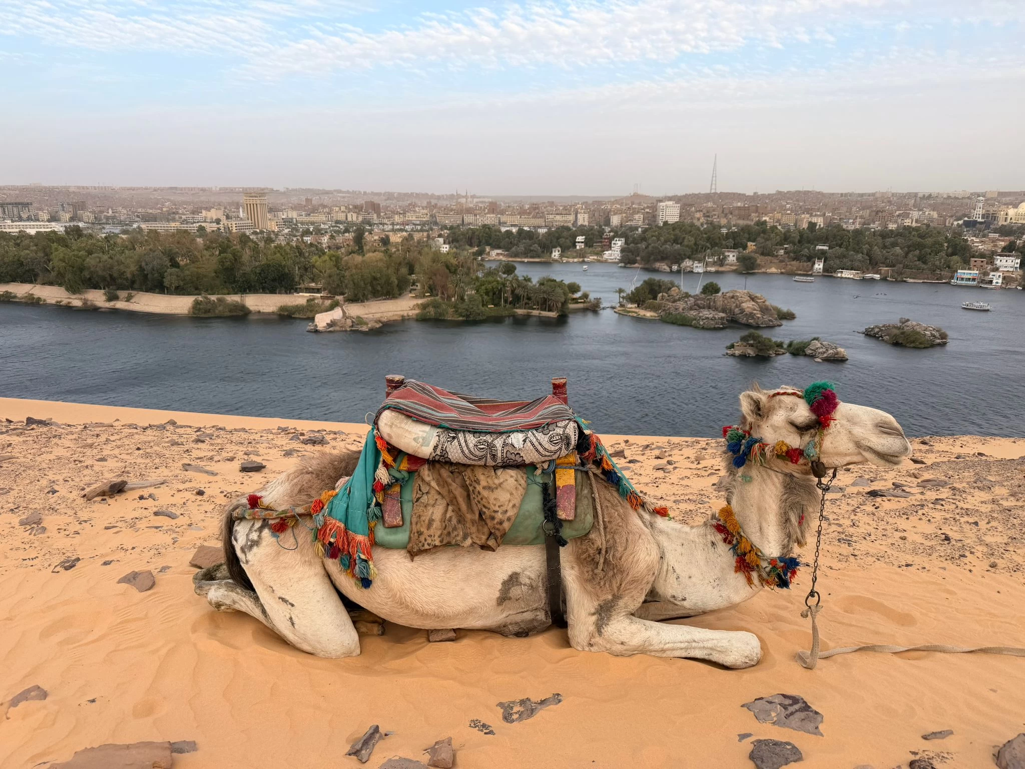 6-Day Egyptian Adventure Tour