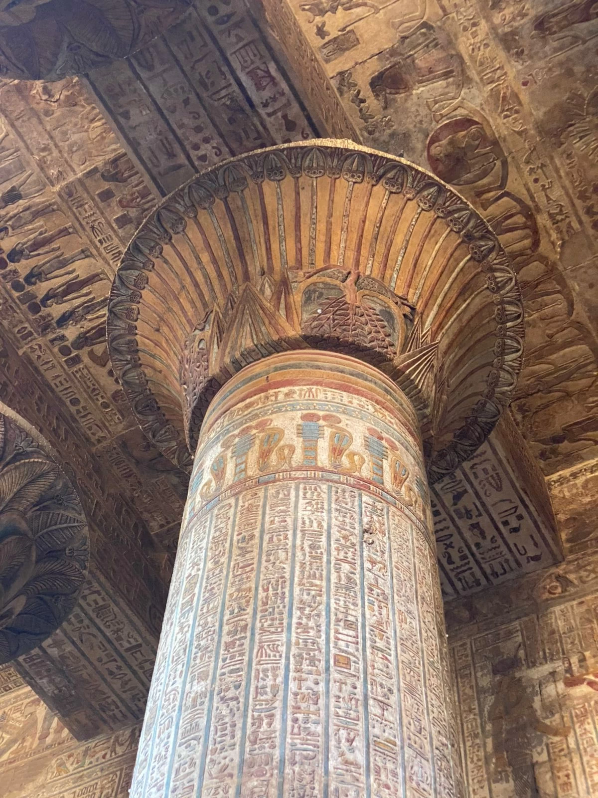 1-Day Dendera Temple Discovery Tour