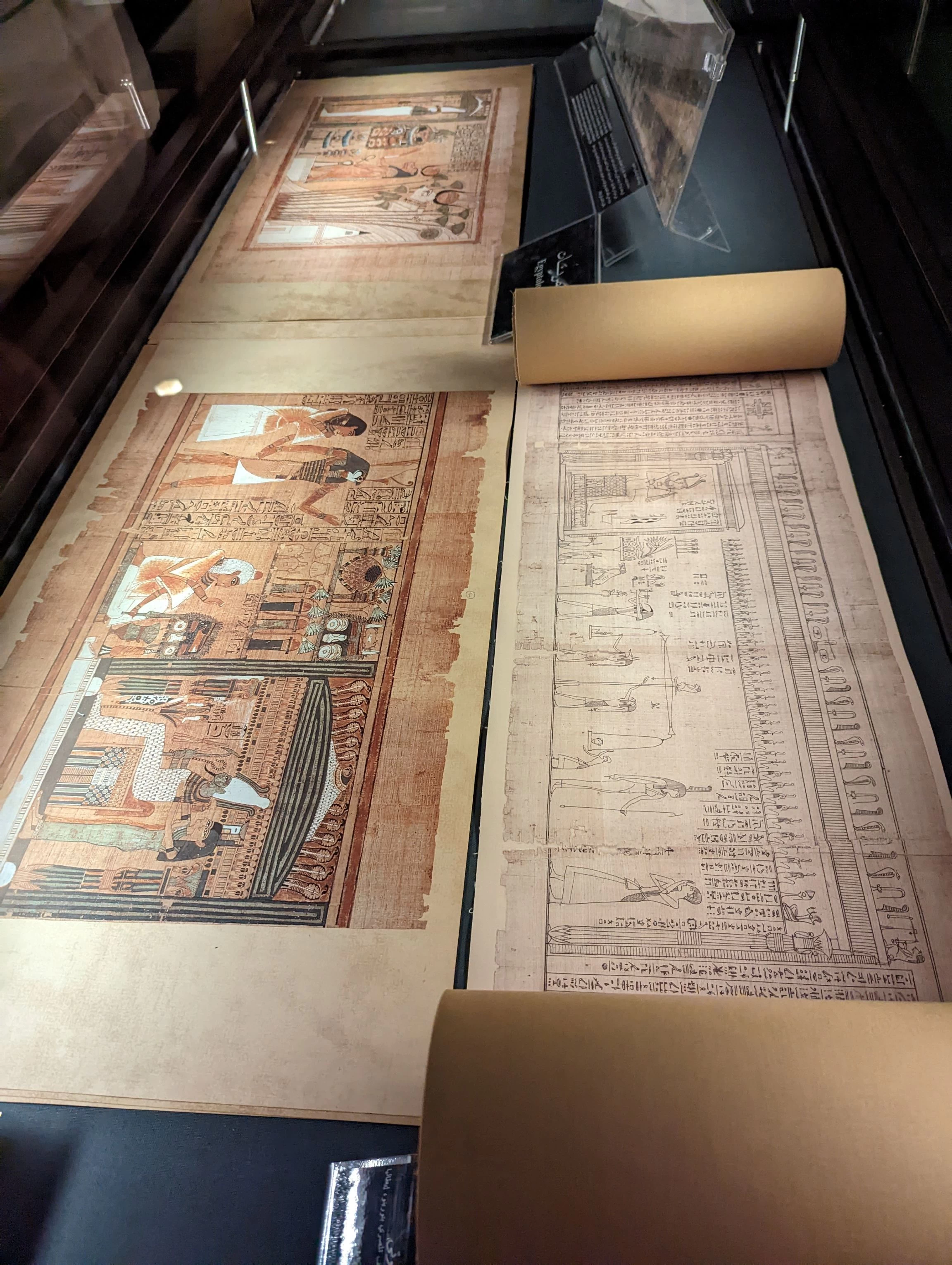 Manuscript at Modern Library of Alexandria