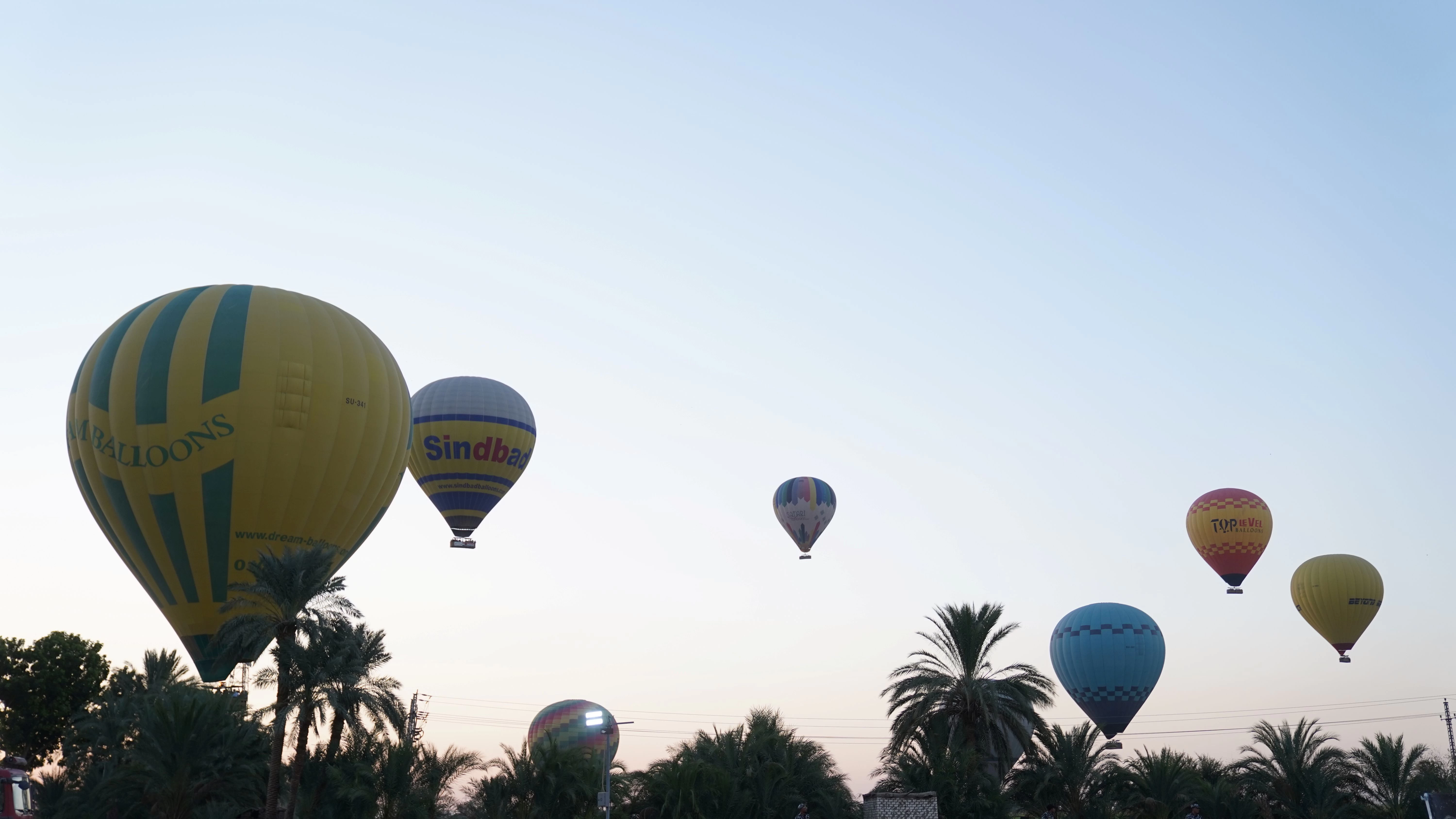 Hot Air Balloons over Luxor