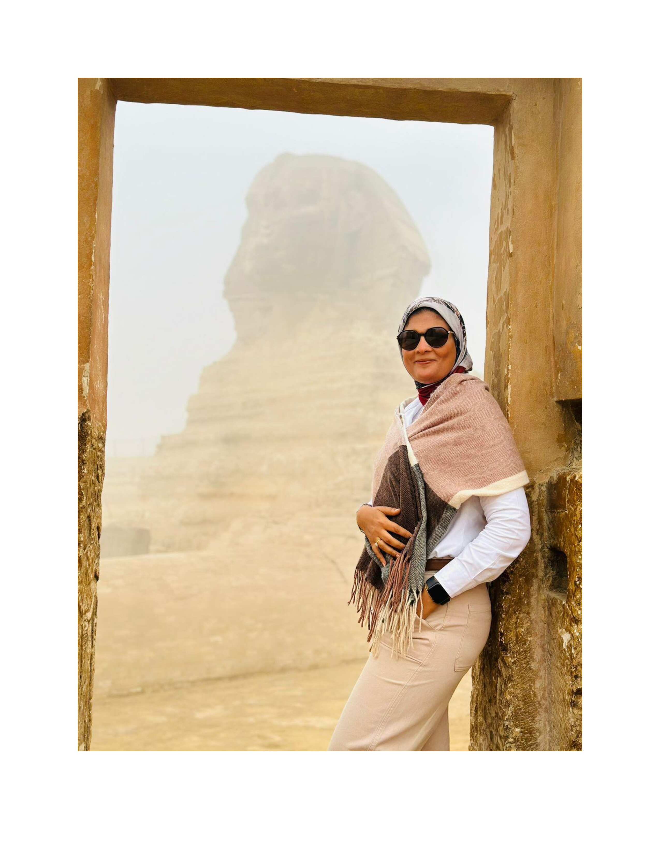 Heba A. Amer